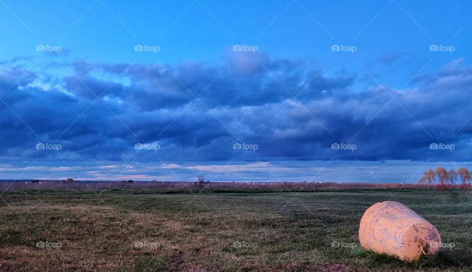 autumn field under evening cloudy sky