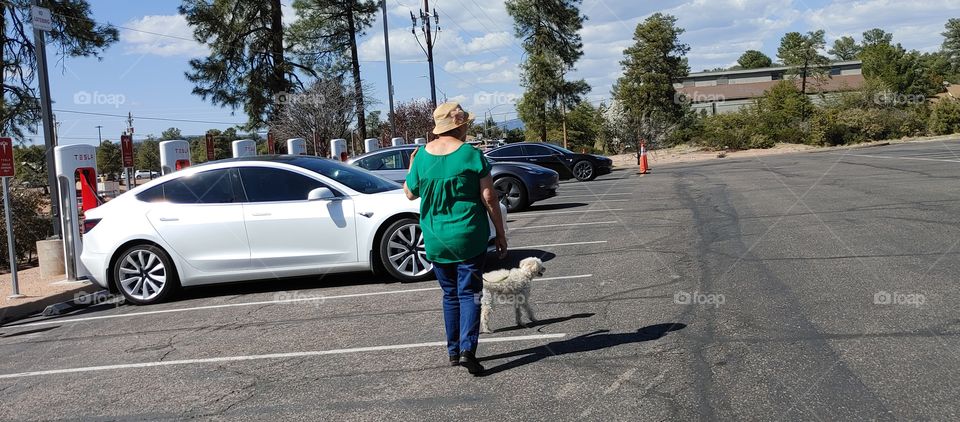 woman walking dog near Tesla's electric cars  charging up