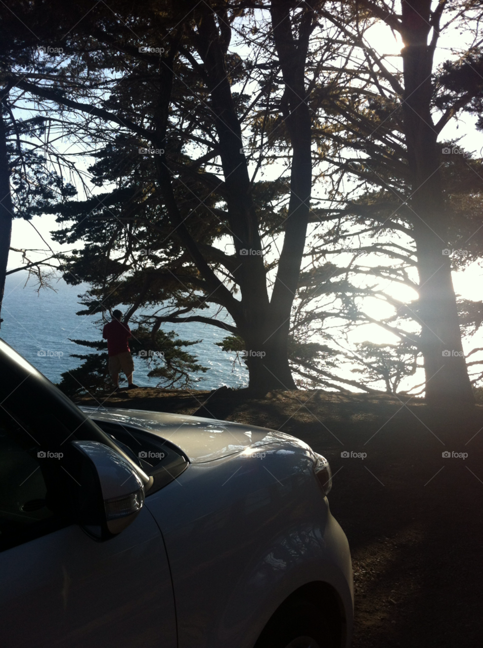 ocean car trees california by cagedheat