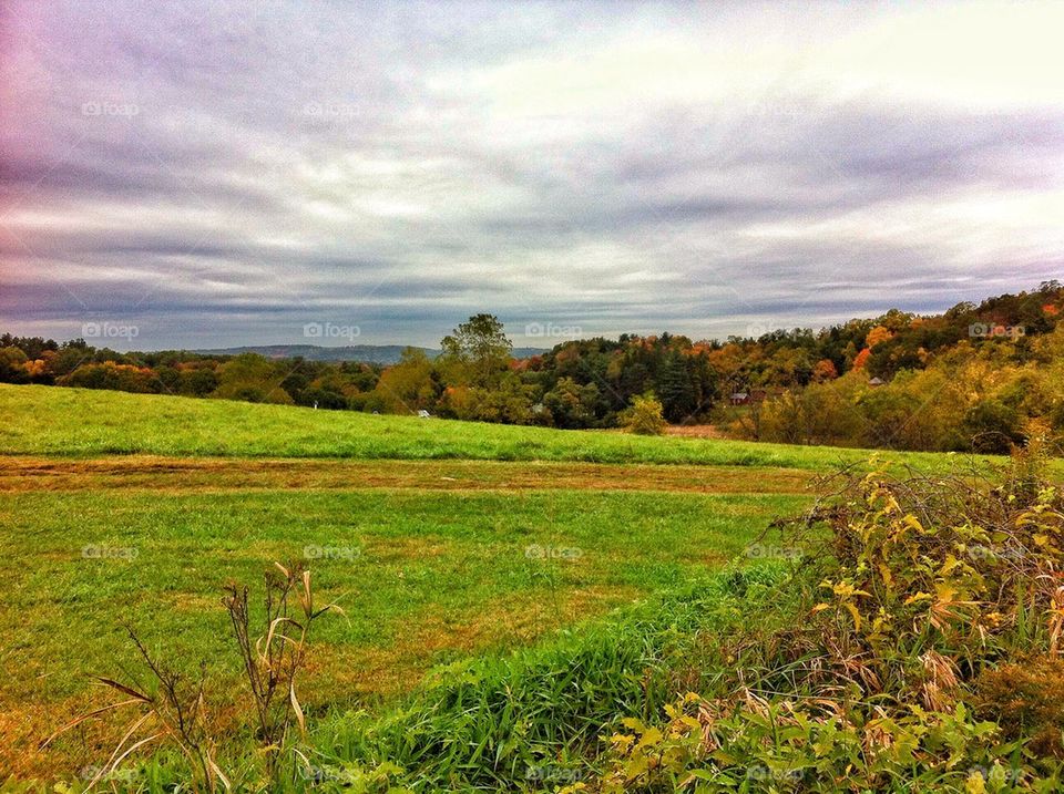 Tarrywile Park and Mansion