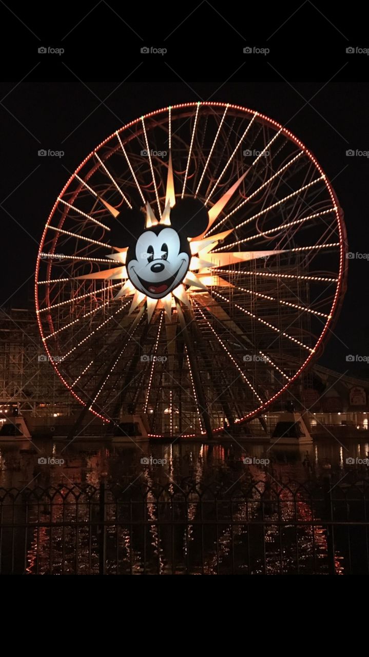 A Ferris wheel at Disneyland California