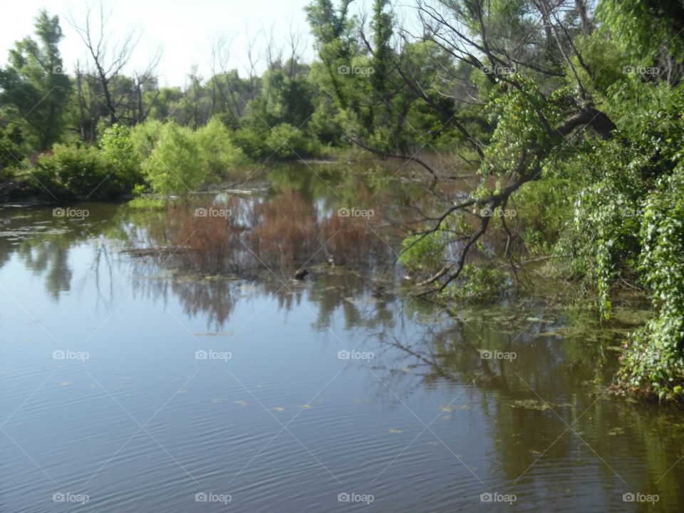 Graham Texas Lake. This is a picture of the Texas Lake that I visited this week