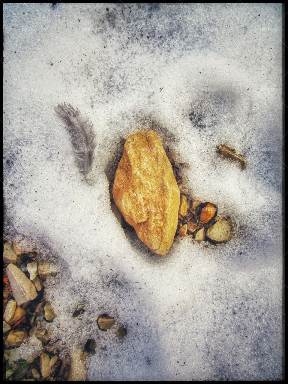 rock and tiny feather in snow