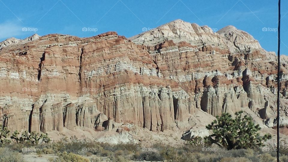 Red Rock view