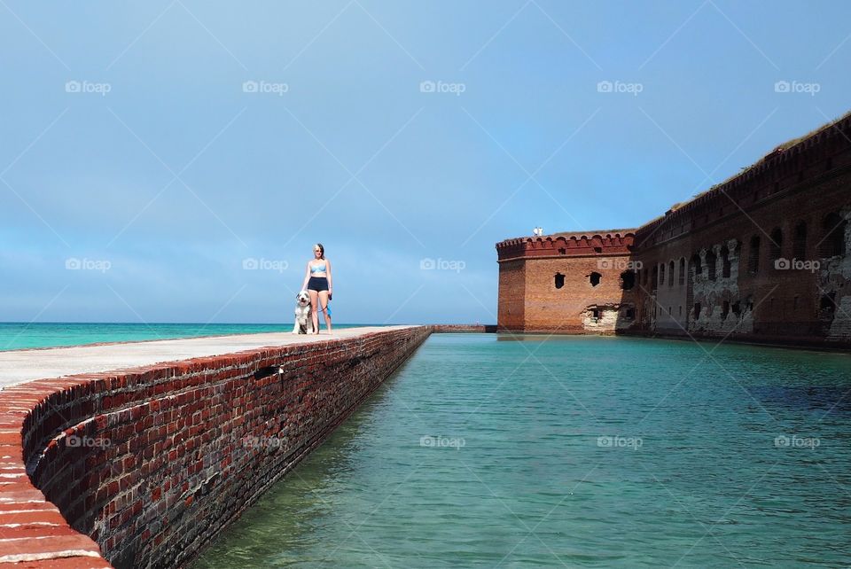 Dry tortugas 