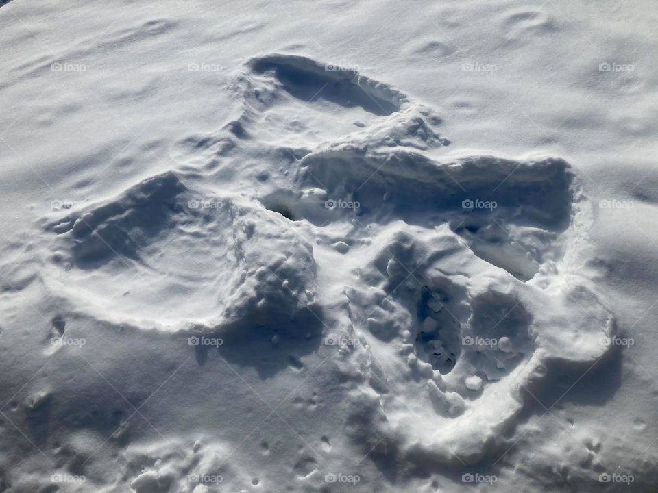 Snow angle made on a snowy frozen lake has nice shadows.  Located in St. Paul, Minnesota, USA