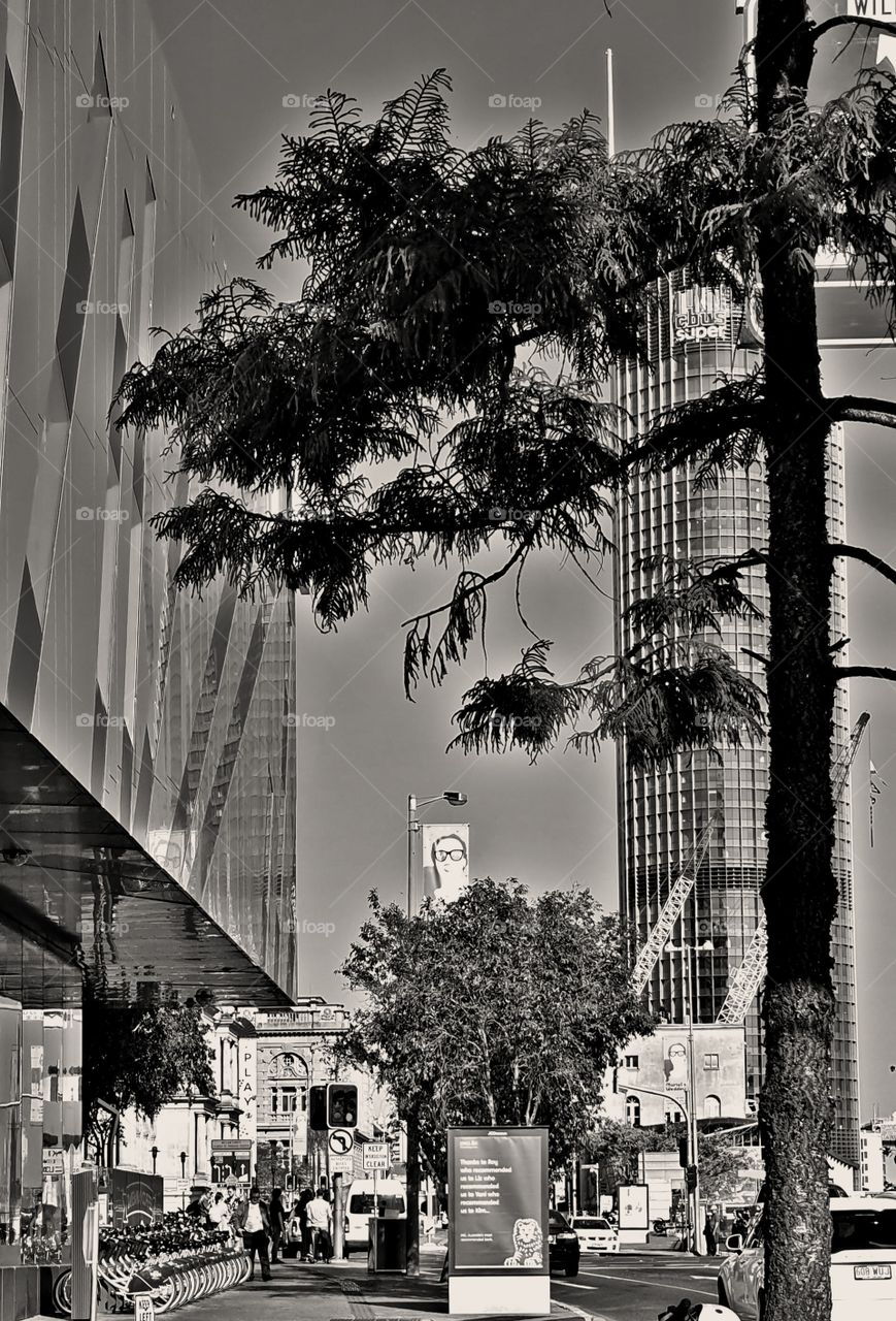 Brisbane city in black and white