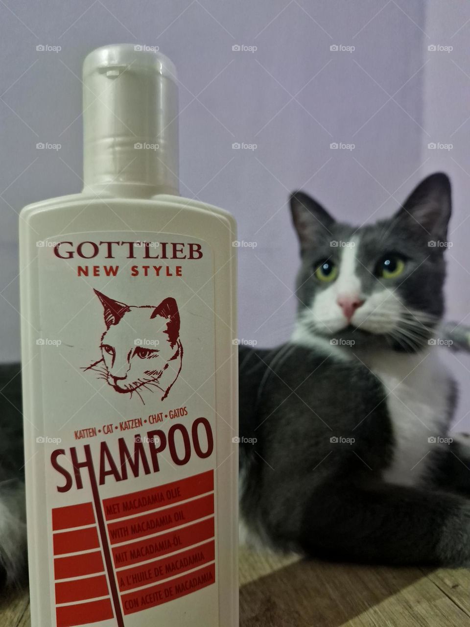 Felix advertises shampoo