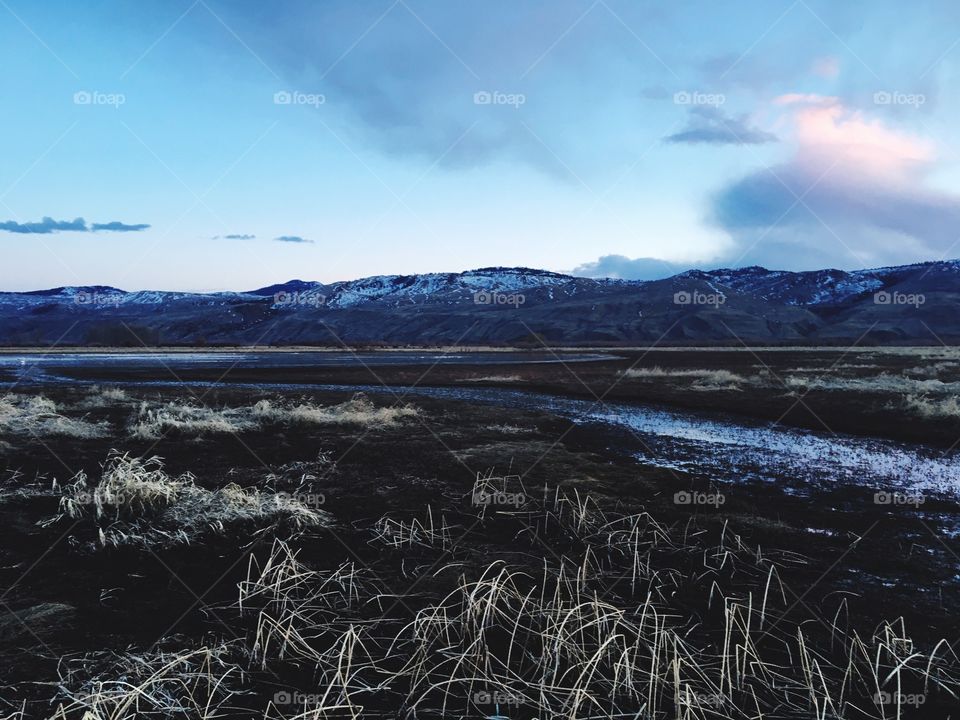 Beautiful spring day