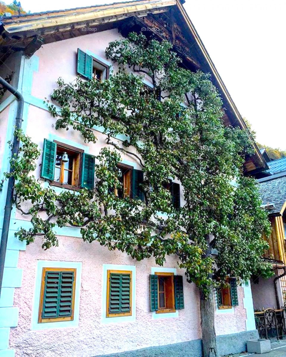 Hallstatt. Austria