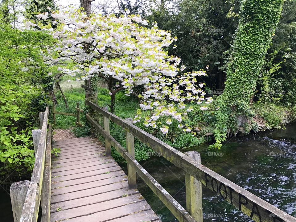 Itchen way, April 2017