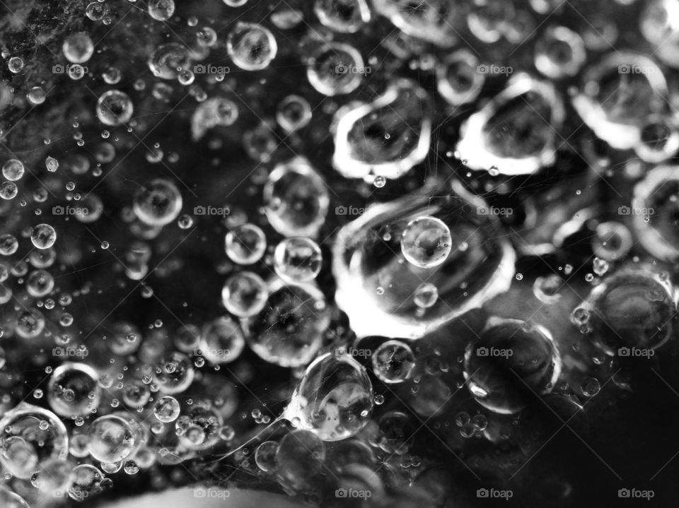 Monochrome raindrops on a spider web