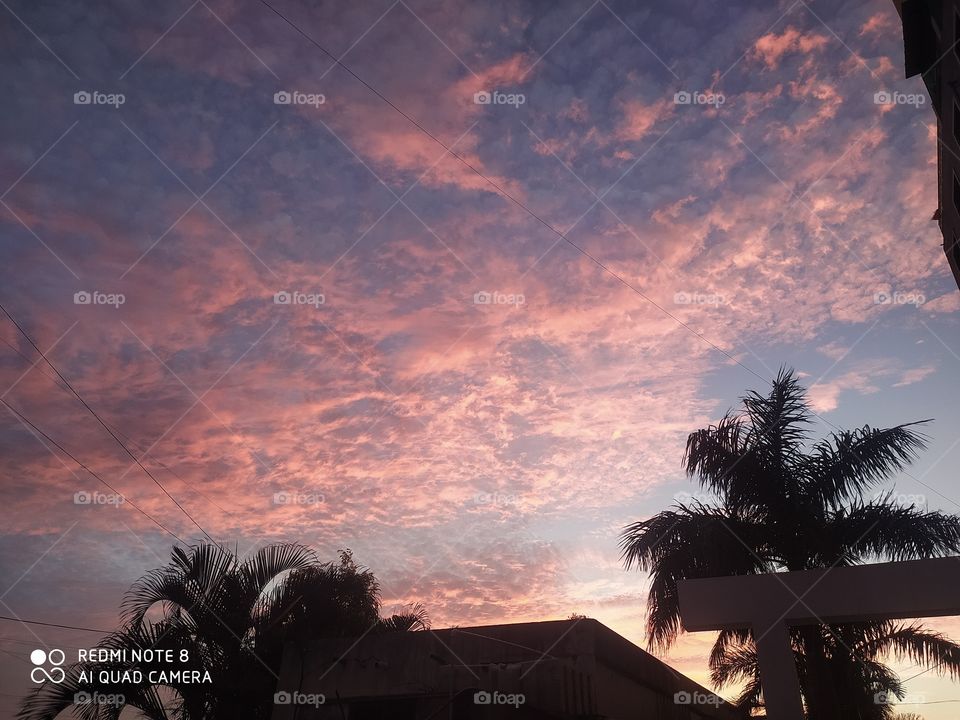 evening shine pink colour in the sky