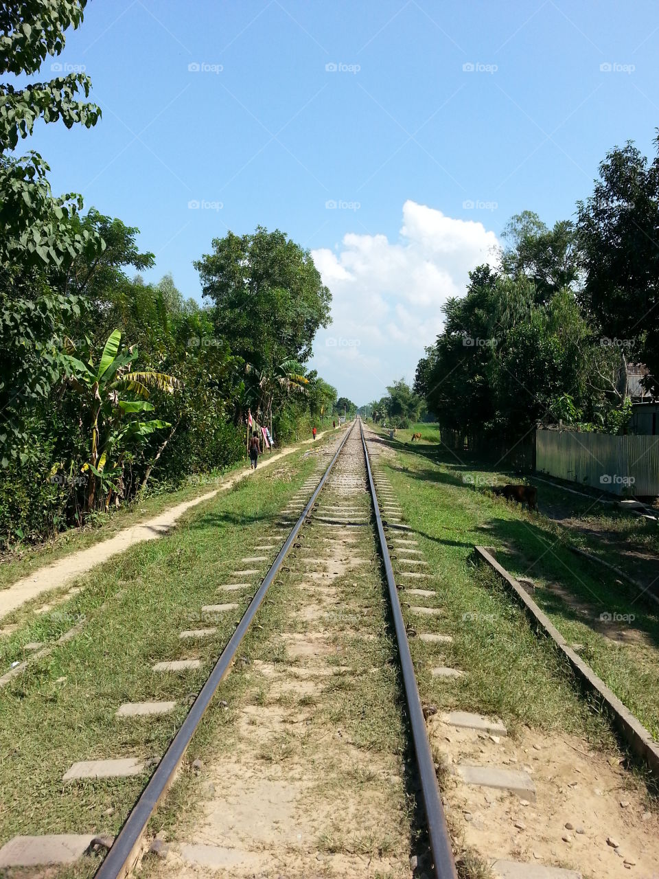 Rail Line