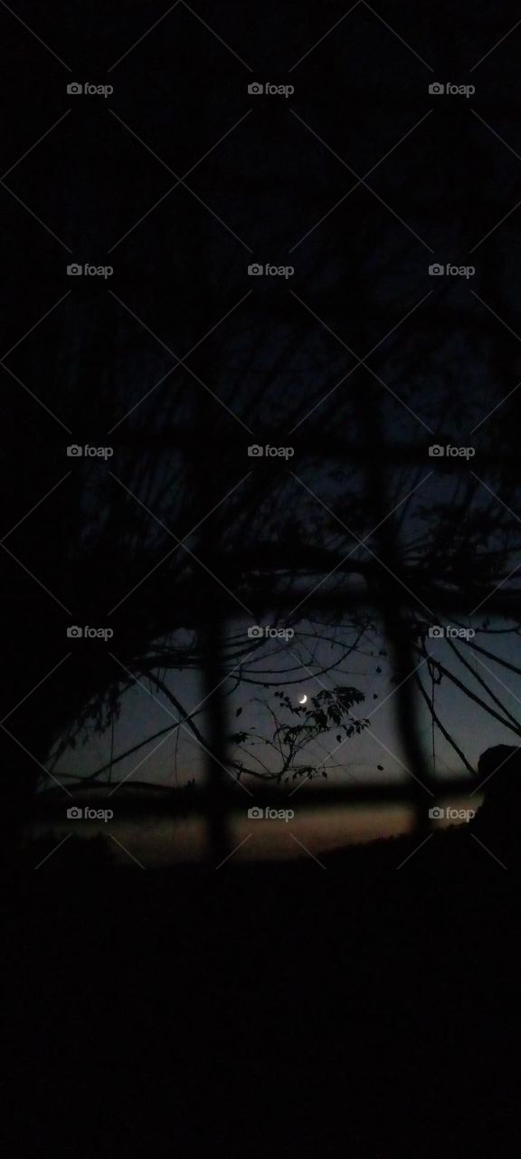 The moon of the night is a calm, wonderful view, nature