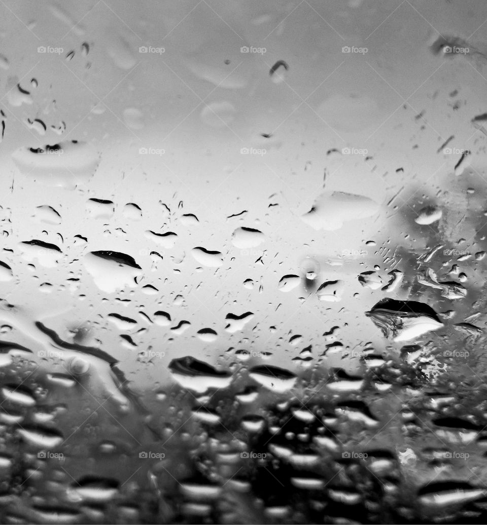 perfect rain drops on the glass of the car. black and white