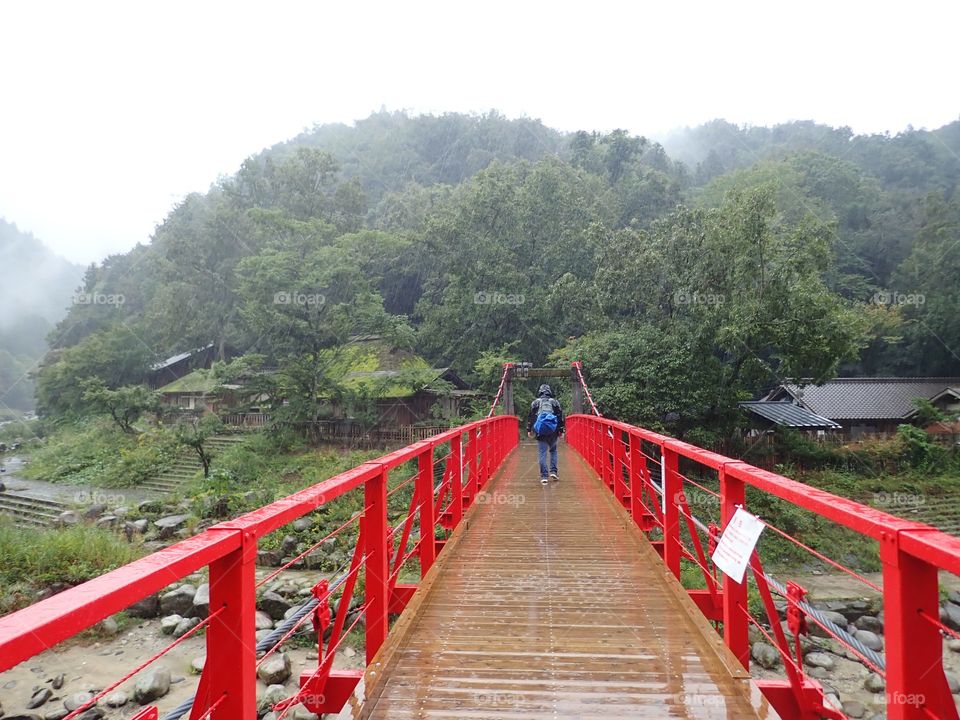 Mountain, Wood, Travel, Nature, Water