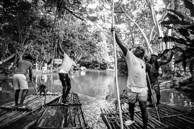 Happiness is the jungle 