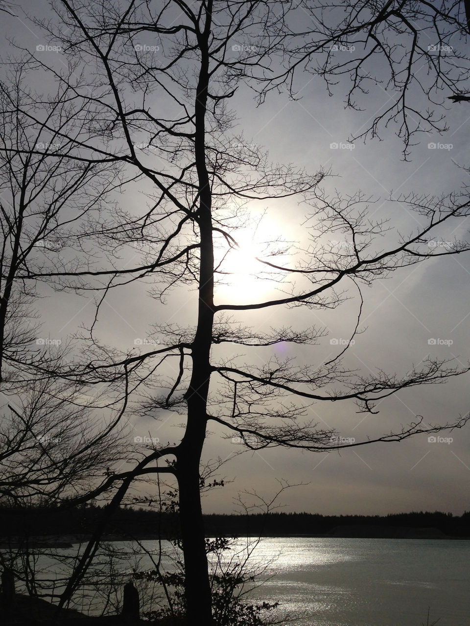 Foggy sun over a winter lake