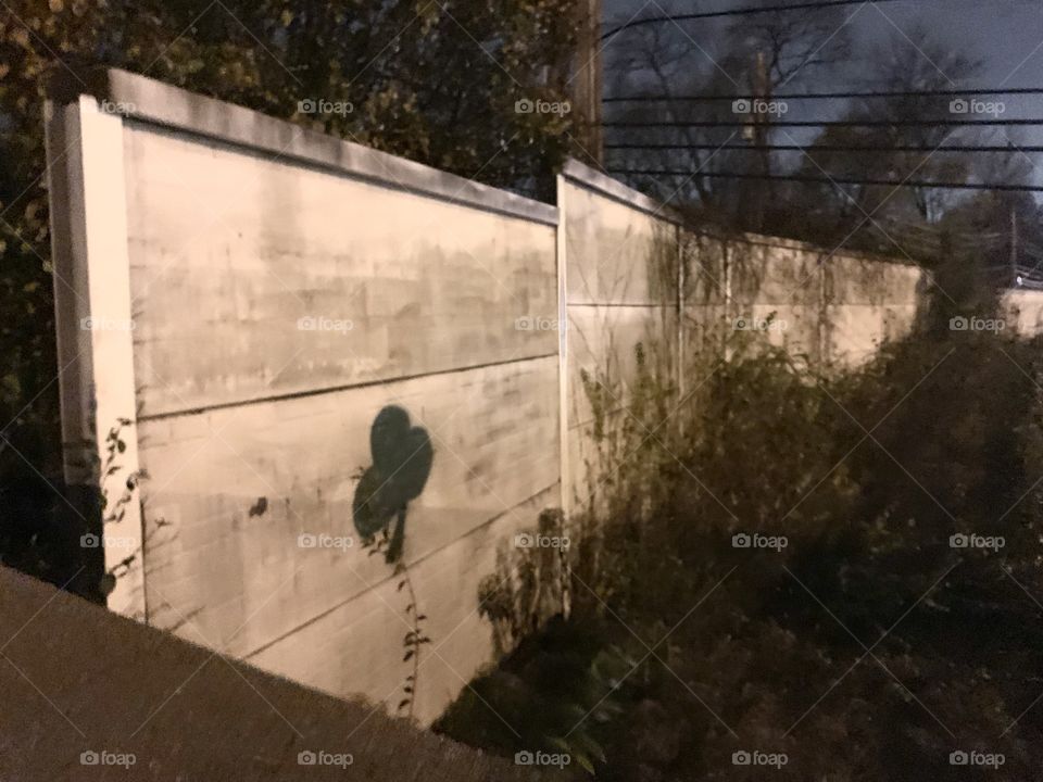 Night time. Lucky three/leaf clover, spray-painted on the side of a major Highway, in the Midwest. It’s a big wall. 