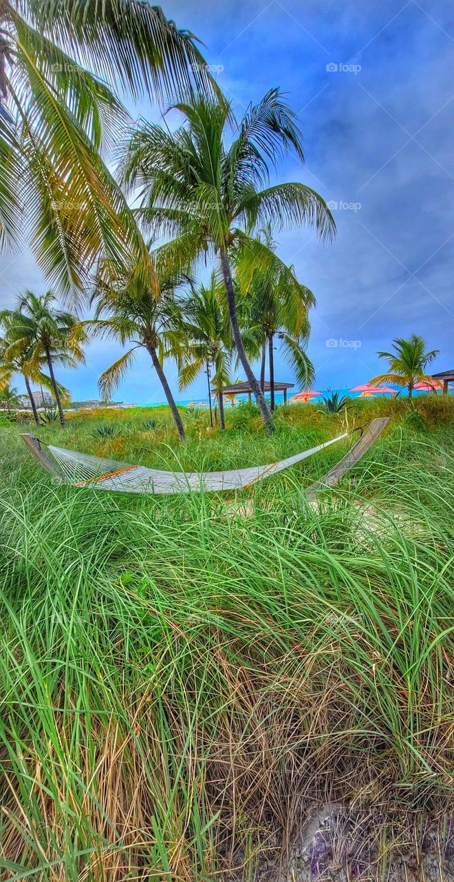 Hammock in the grass.