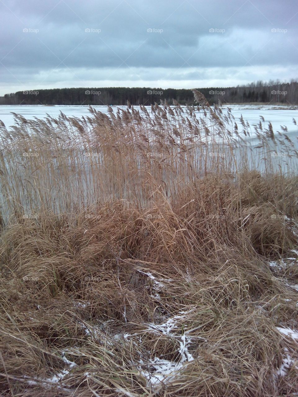 Landscape, Nature, No Person, Water, Grass