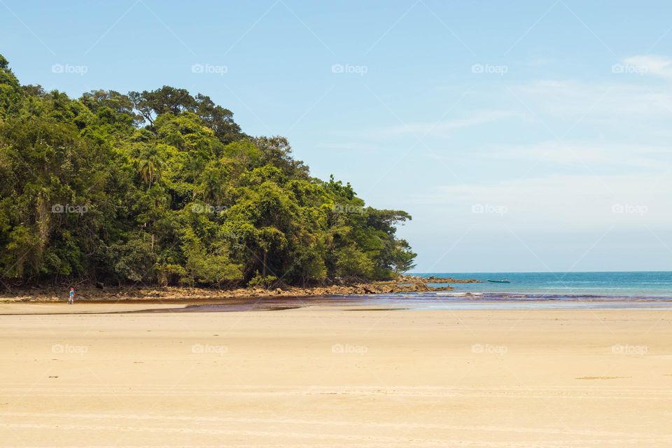 vista de praia em litoral norte brasileiro.