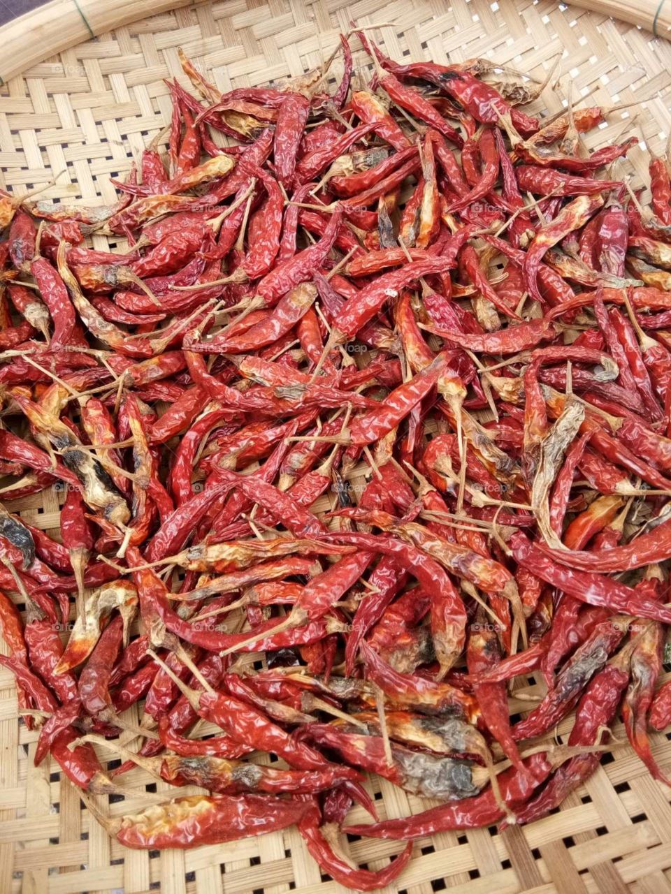 dried chilli