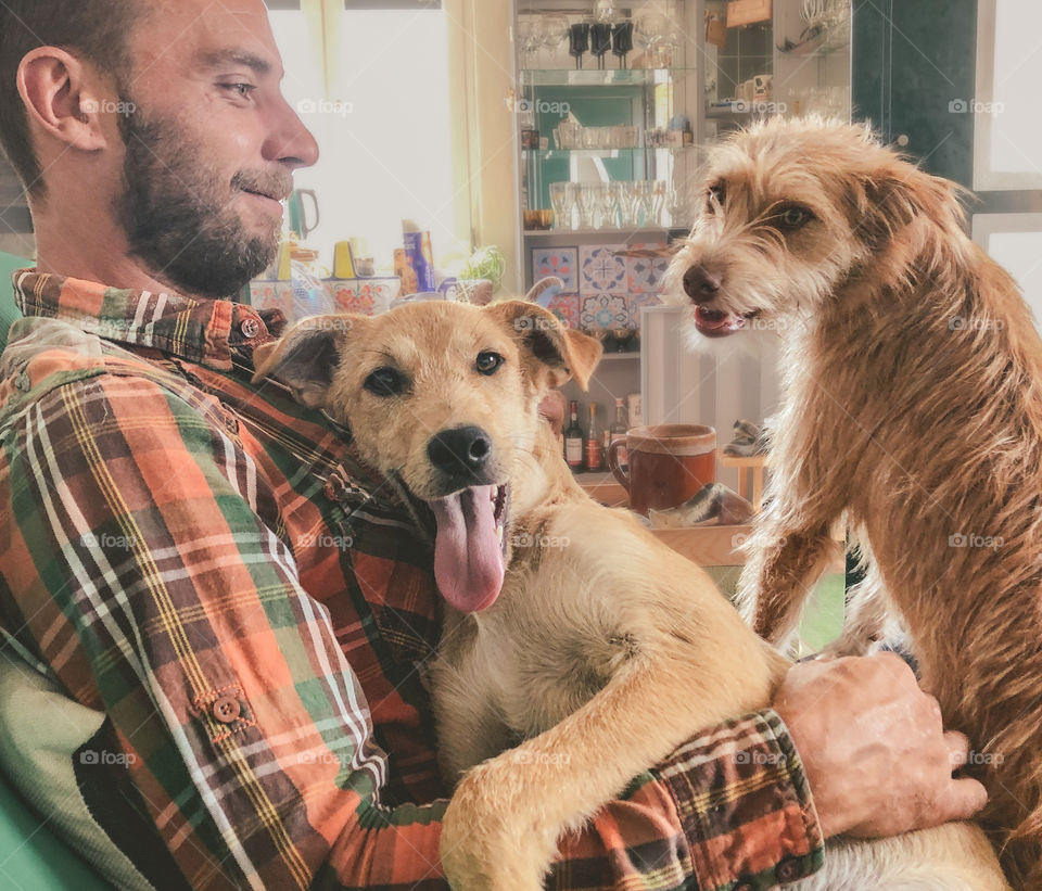 2 very happy dogs sitting on their owner’s lap