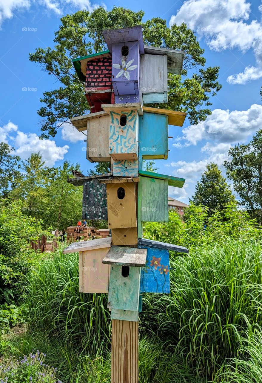 Summer in the city park, birdhouses
