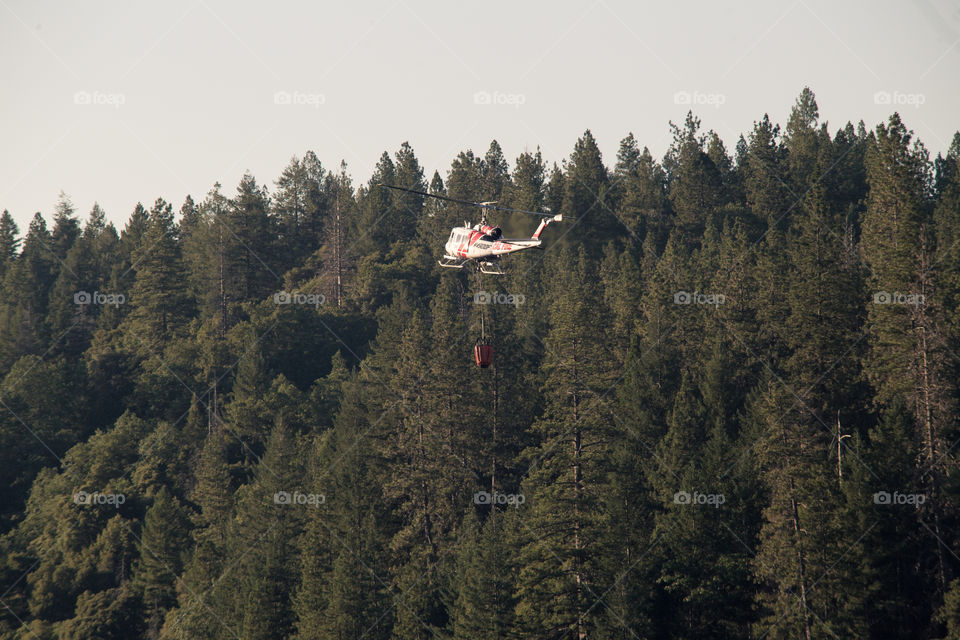 helicopter flying next to trees