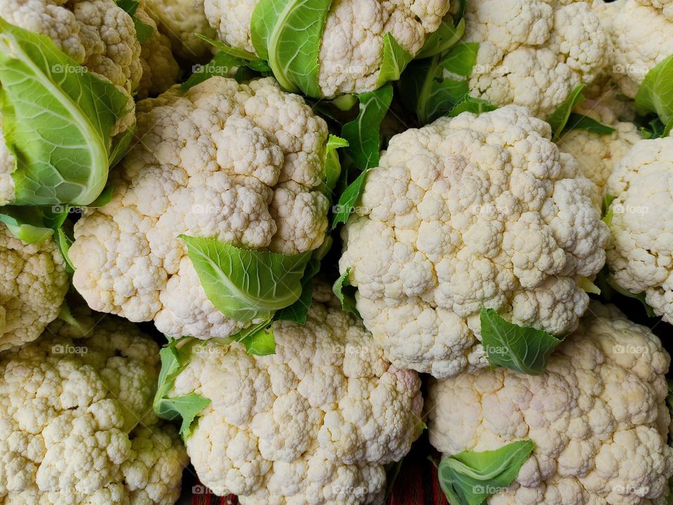 vegetable
