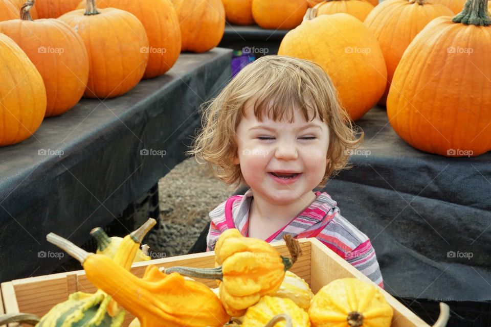 Little Girl Laughing In A Pumpkin Patch