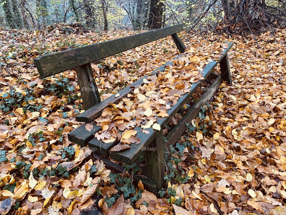 an old broken and abandoned bench on an autumn forest path