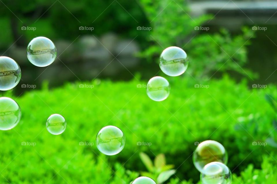 Bubbles photography.