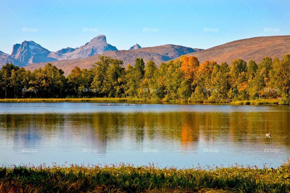 Scenic view of a lake against clear sky