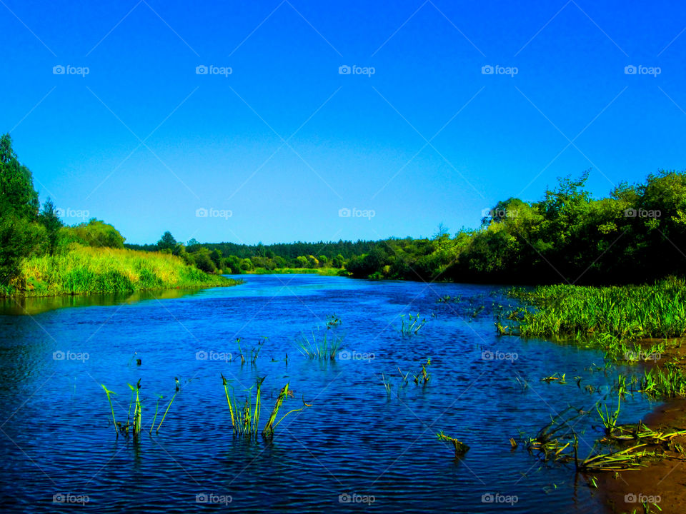 Summer river .Berezina. Belarus.