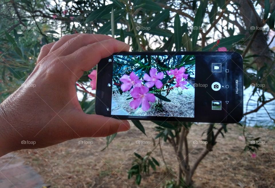 Loving taking pics around!