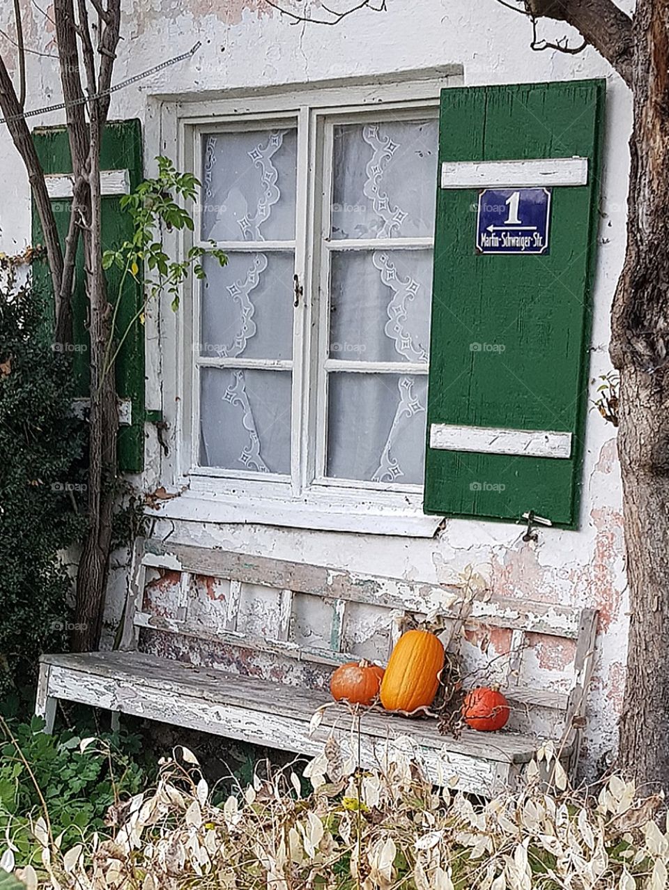 Fenster, grüne Fensterläden, rustikal, weiße Holzbank, Bank, abgeblättert, Kürbis, orange, Pumpkin, ember, Nummer 1