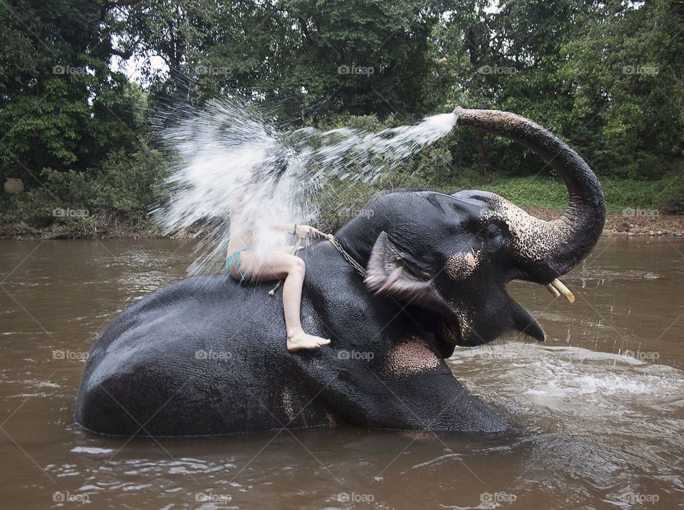 girl rides and swims on an elephant