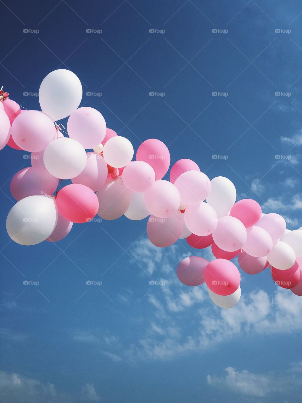 Pink balloons against blue sky