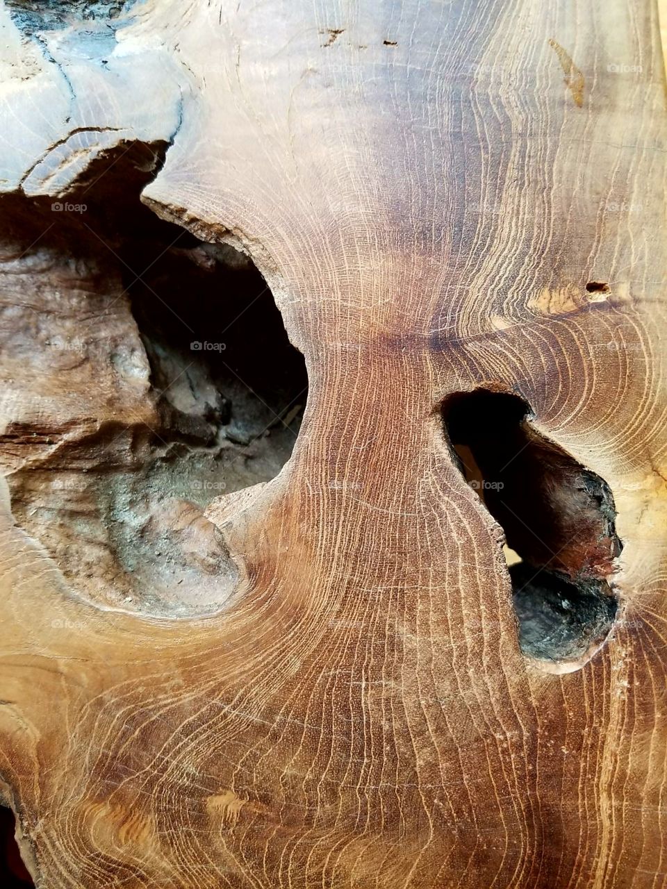 tree trunk to coffee table