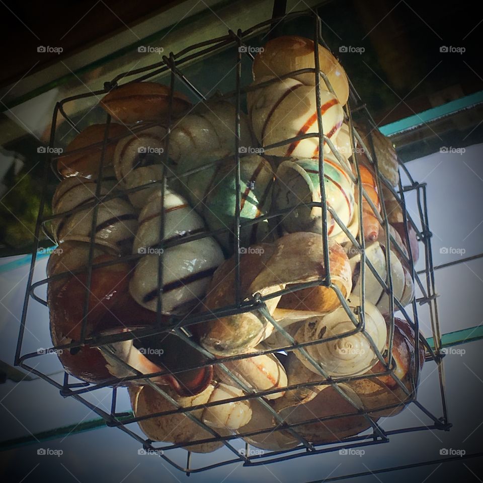 Creative Textures 

Drop light made out of sea shells 