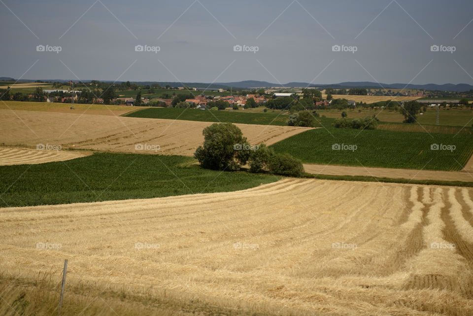 Calm rural landscape.