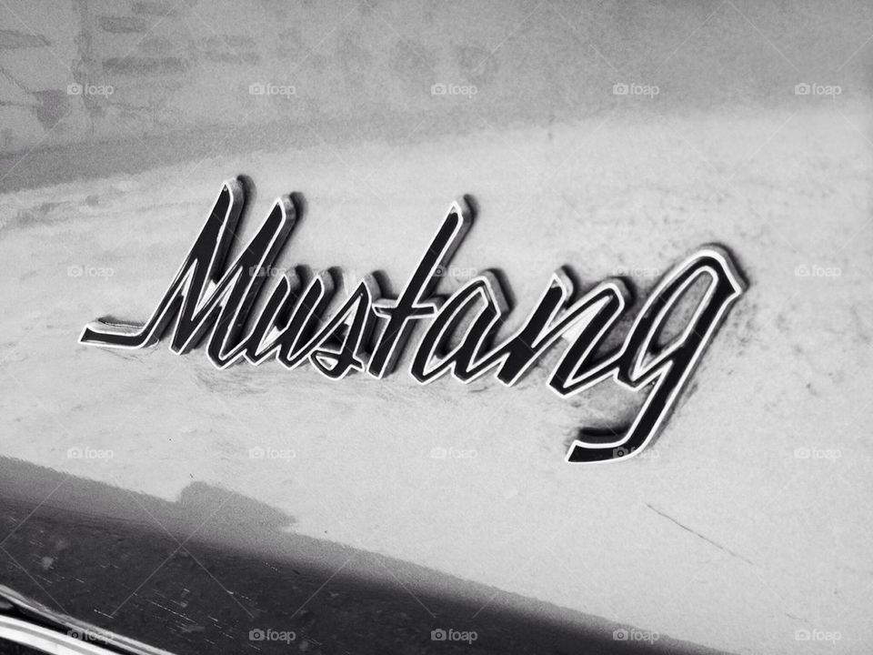 Mustang