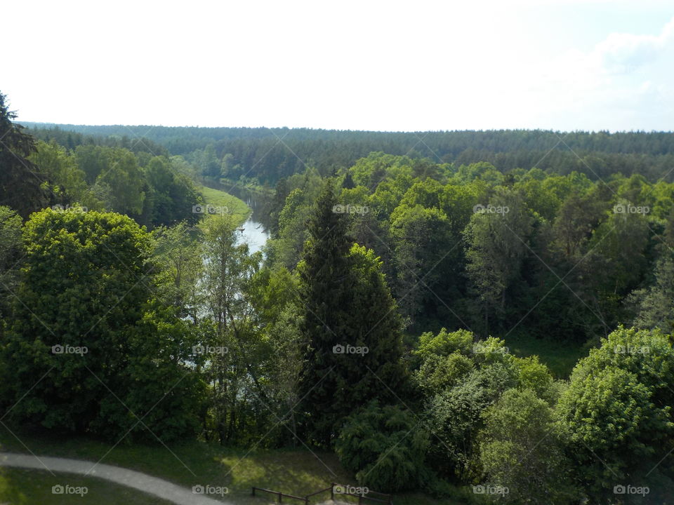 Anyksčiù šilelis Lithuania nuo medžiù lajù tako