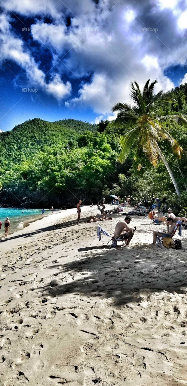 hawk nest beach