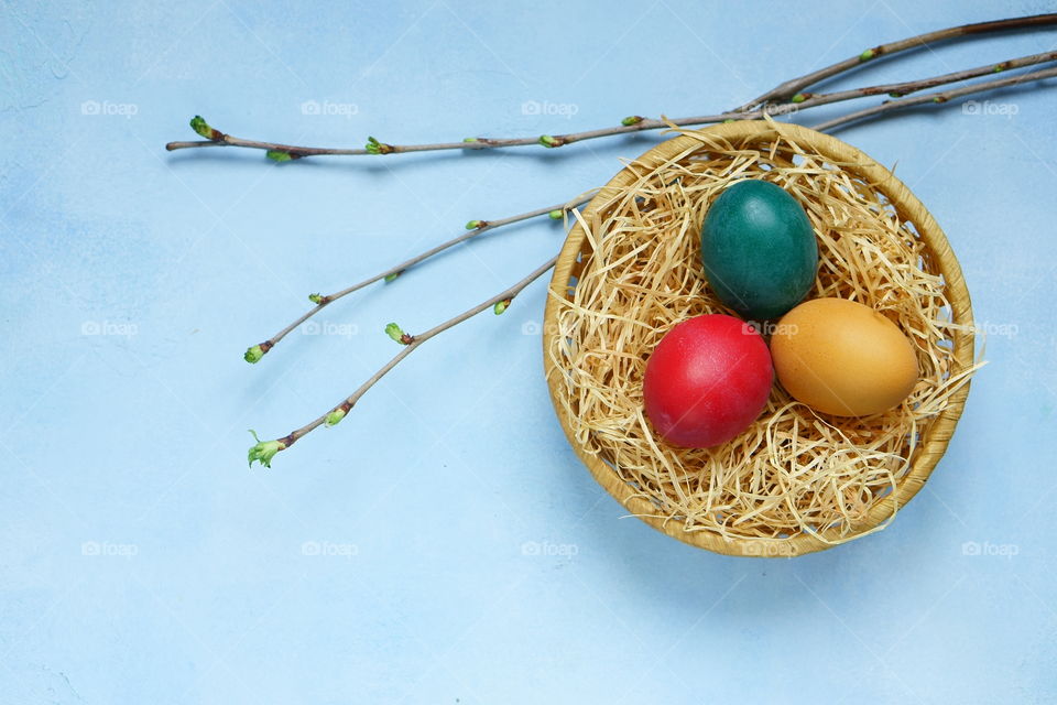 easter eggs in a basket and three bunches with green springs