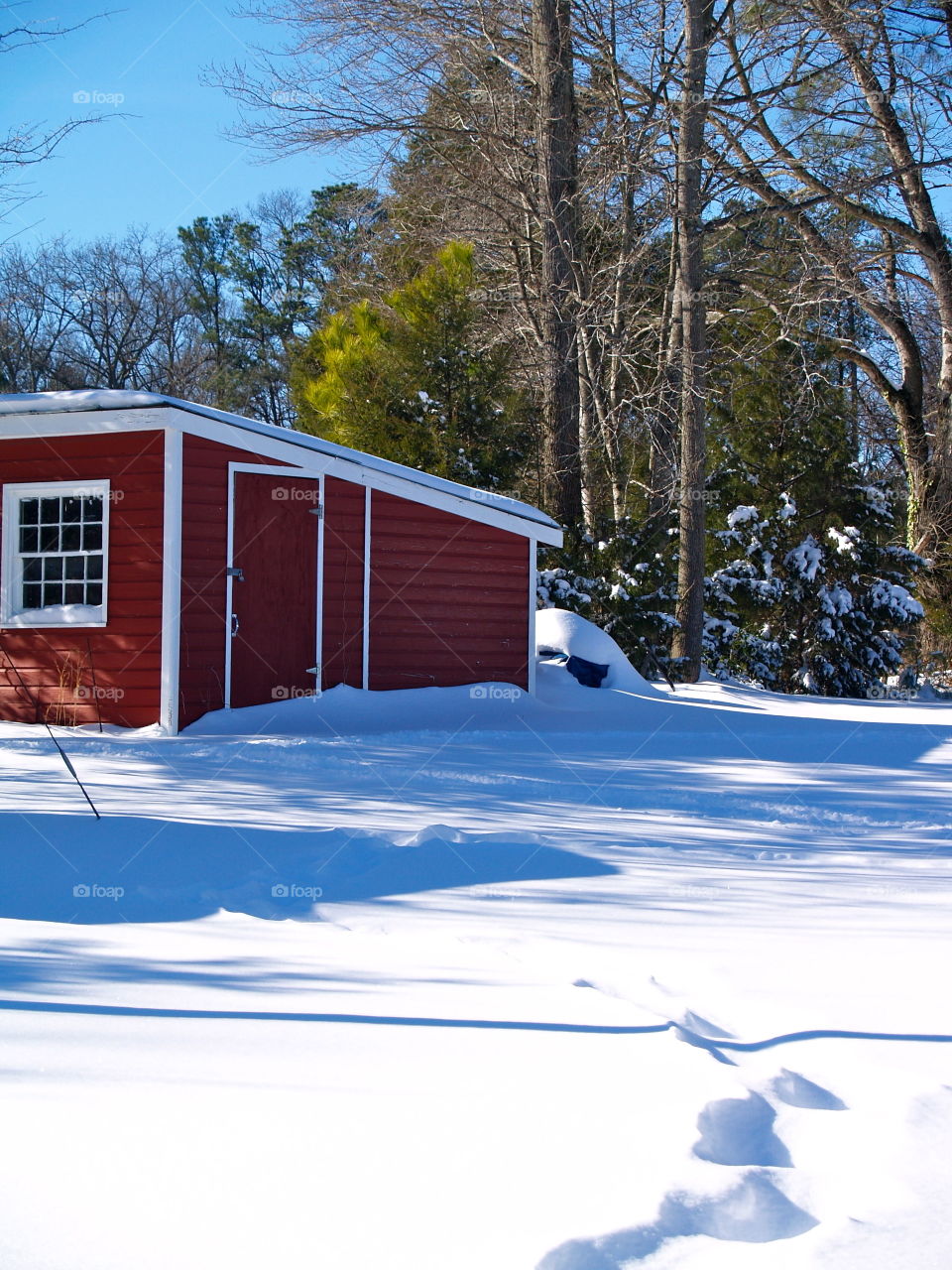 Snow in the country