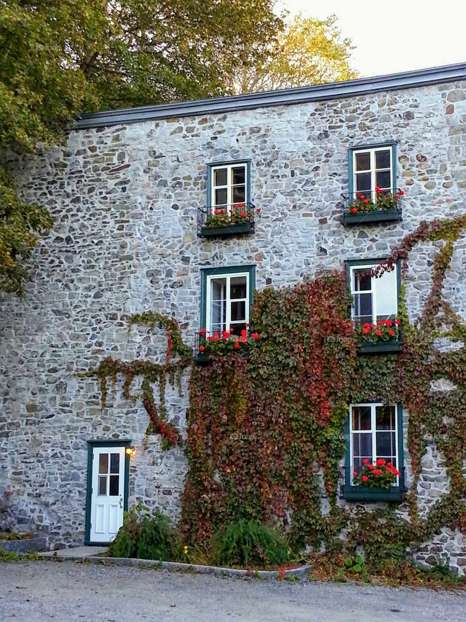 A stone house in Old Quebec covered with vines